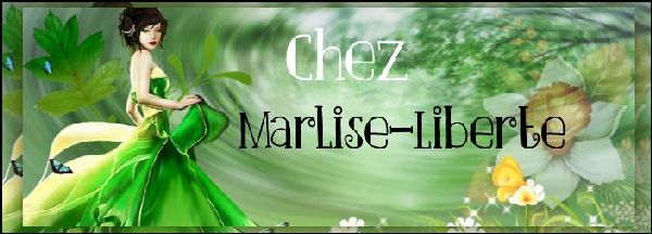 Mon nouveau blog